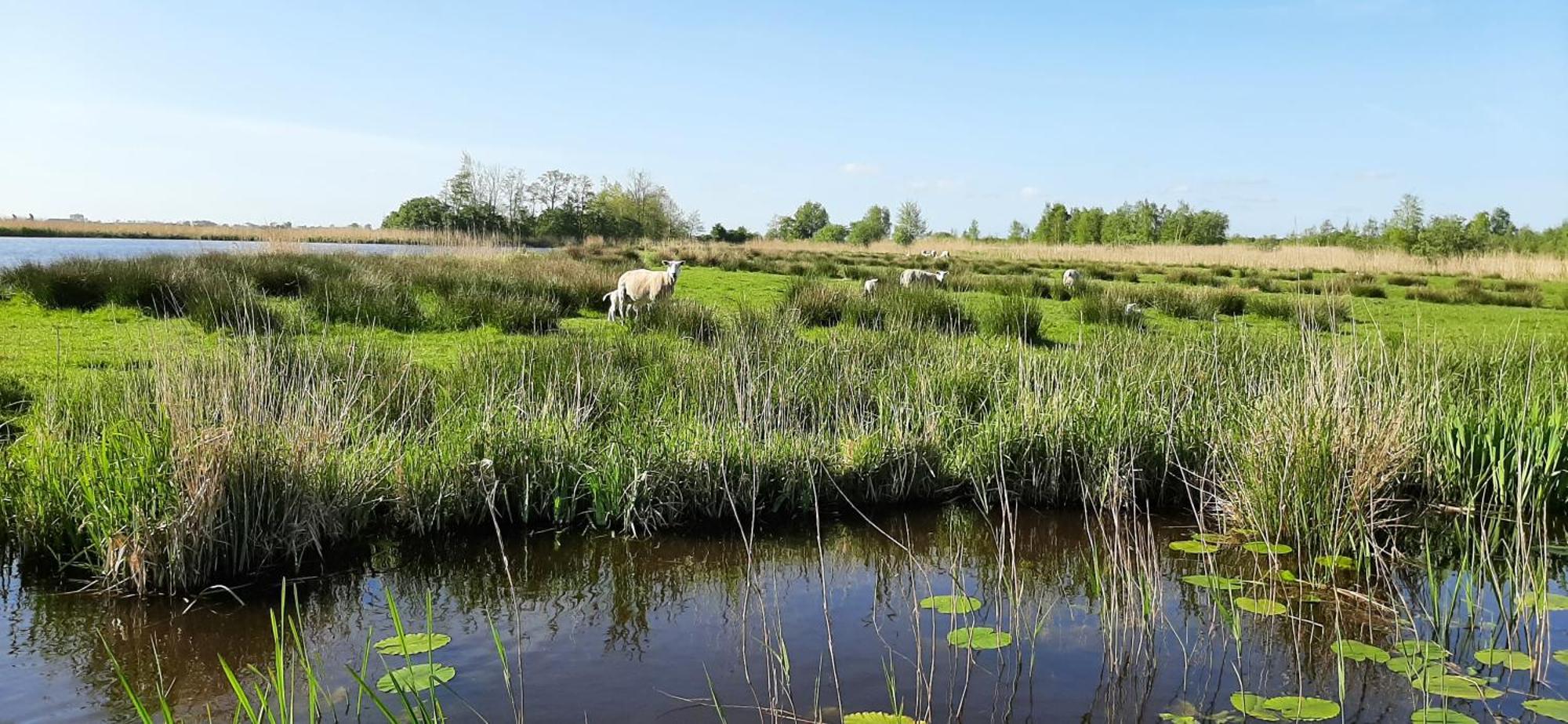 B&B T'Butefjild De Falom Zewnętrze zdjęcie
